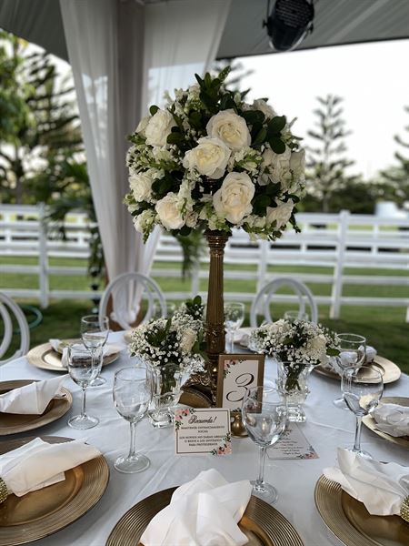 Le Noir Events & Wedding Planning