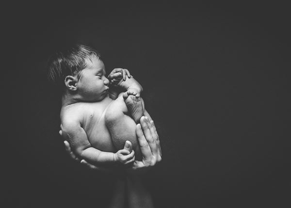 Melody in Bloom Photography