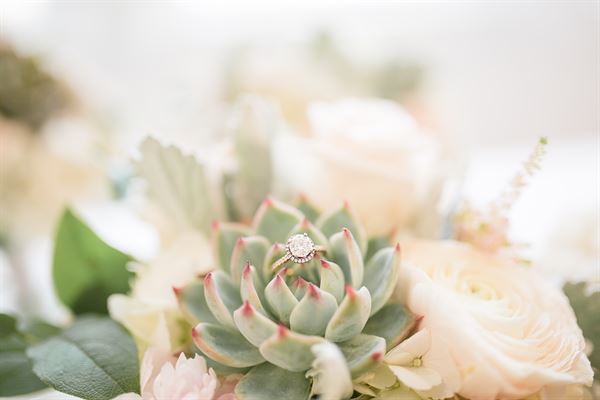 Melody in Bloom Photography