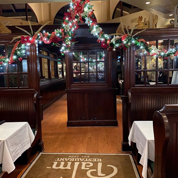 The Palm : Charlotte