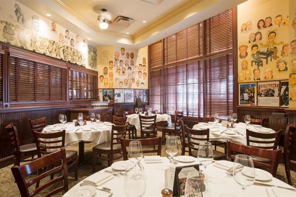 The Palm : Charlotte