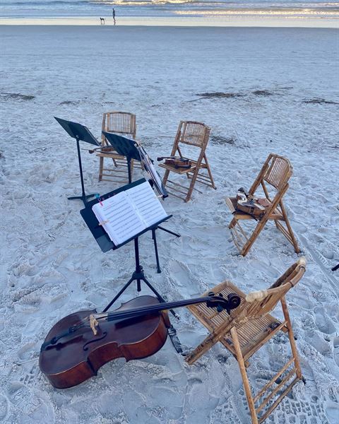 Jacksonville Strings