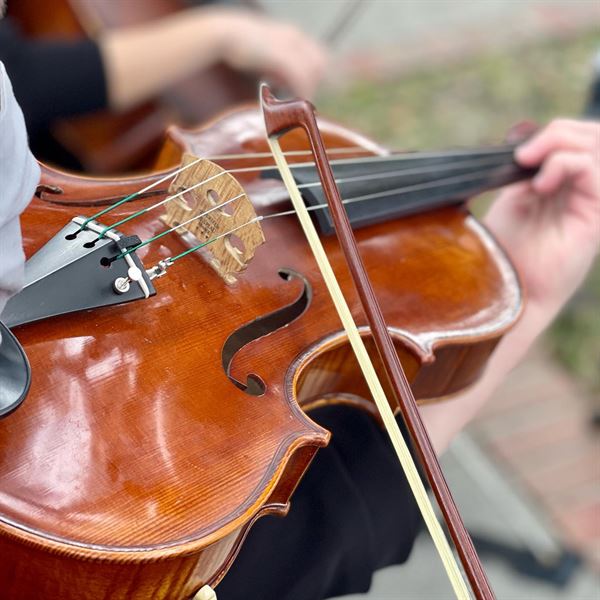 Jacksonville Strings