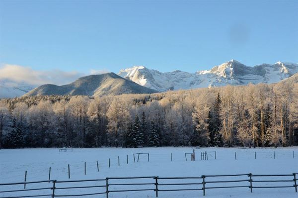 Black Cat Guest Ranch