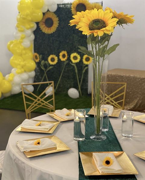 The Houston Room- Premier Event Venue