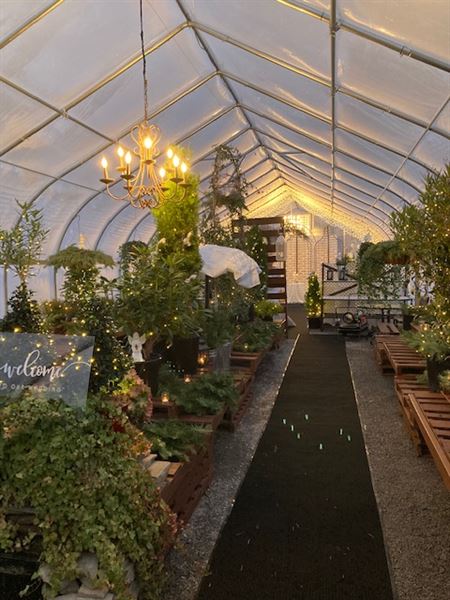 Green Effects Greenhouse