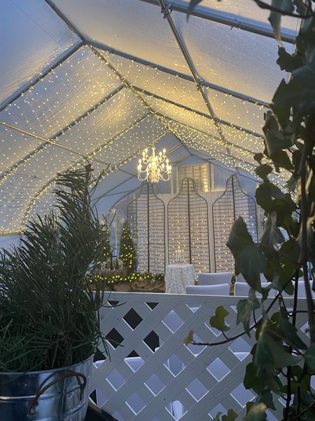 Green Effects Greenhouse