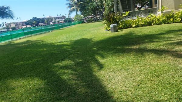 Hulihe'e Palace - The Daughters of Hawai'i