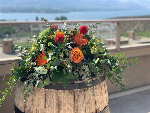 Paradox Wedding & Event Rentals