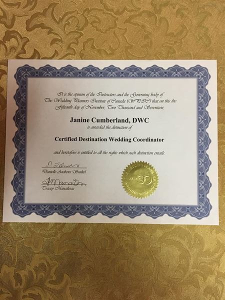 Paradox Wedding & Event Rentals