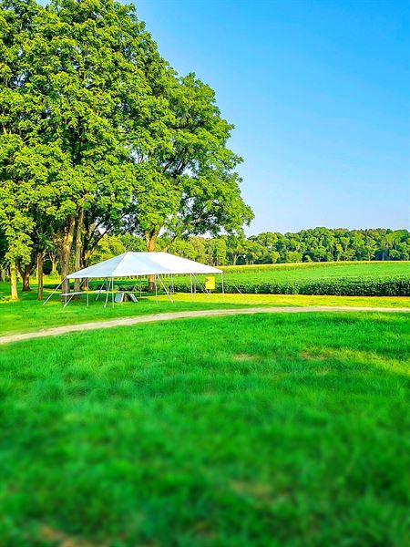 Bounds of Fun Party & Event Rentals