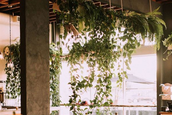 FruitCraft Fermentery & Distillery