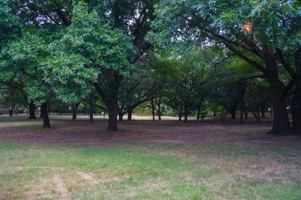 Fort Worth Botanic Garden