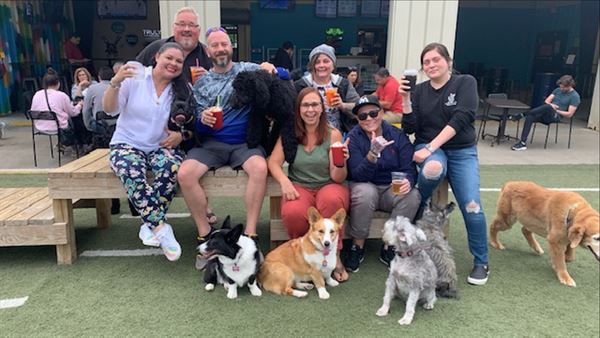 Doggos Dog Park and Pub
