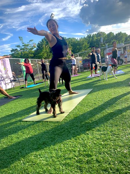 Doggos Dog Park and Pub