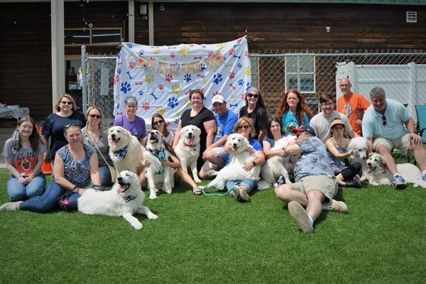 Doggos Dog Park and Pub