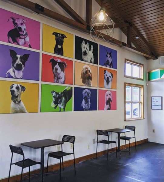 Doggos Dog Park and Pub