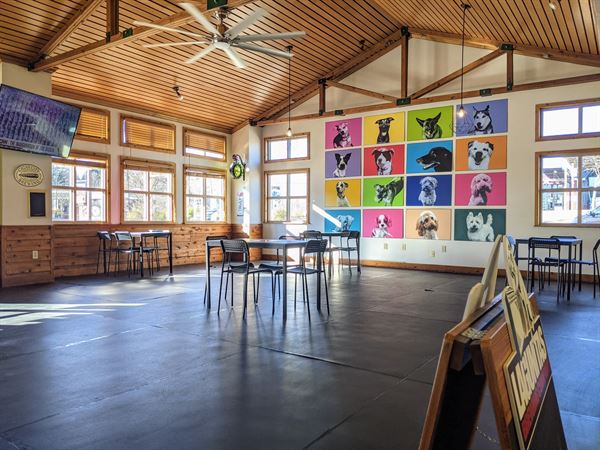 Doggos Dog Park and Pub