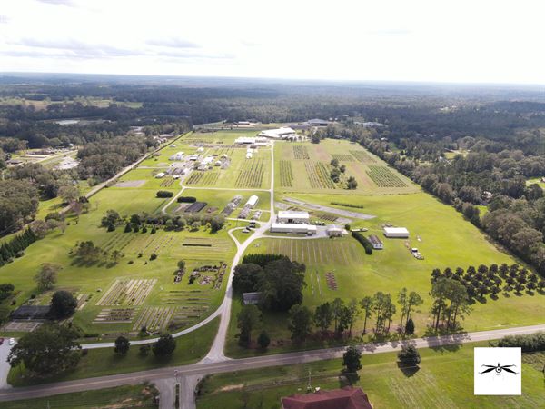 Dragonfly Eye Studio