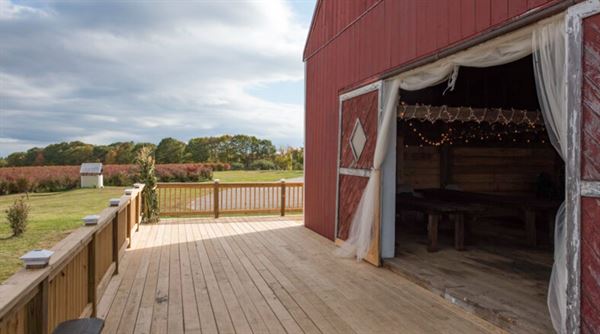 Blueberry Hill Wedding & Event Planning