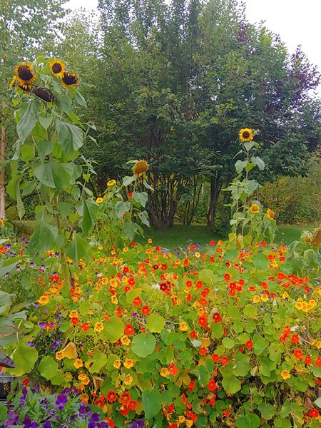 Wilmington Wedding Venue & Catering LLC.