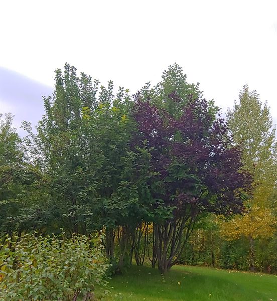 Wilmington Wedding Venue & Catering LLC.