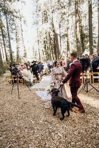 Historic Graeagle Picnic Ground