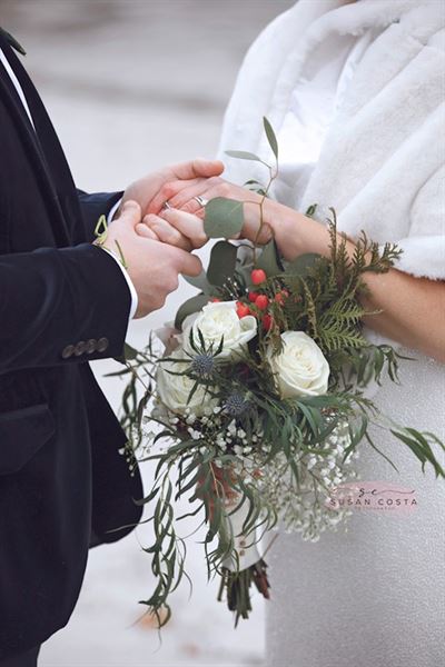 Susan Costa Photography