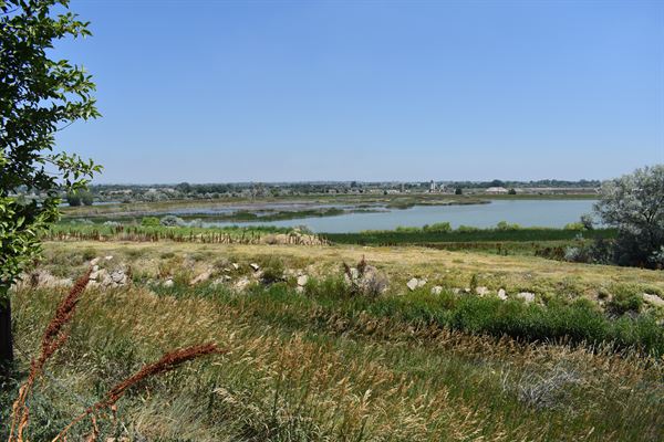 Strauss Cabin Farmhouse