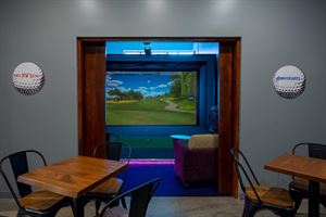 Game Room & Golf Simulator