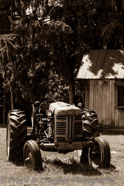 Pencil & Dragons  Studio d'Art et Photographie