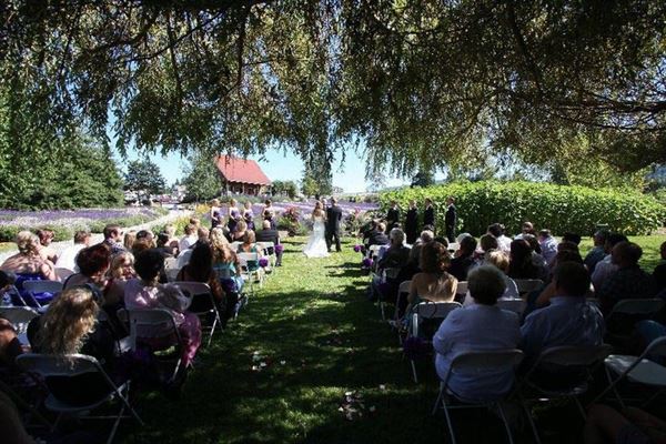 Purple Haze Lavender Farm