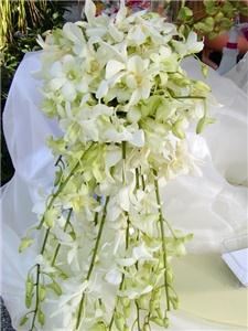 Christie's Flowers And Gifts