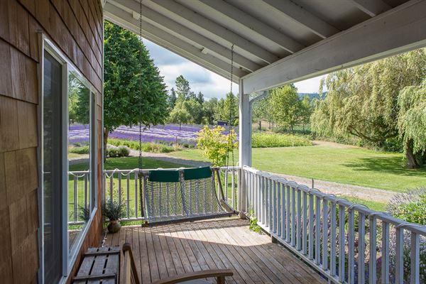 Purple Haze Lavender Farm