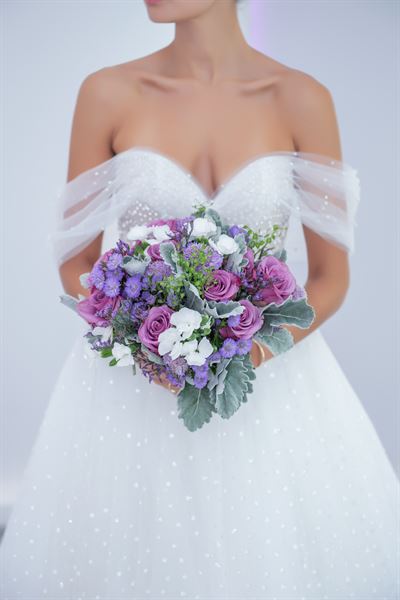 Visuals Photo and Video