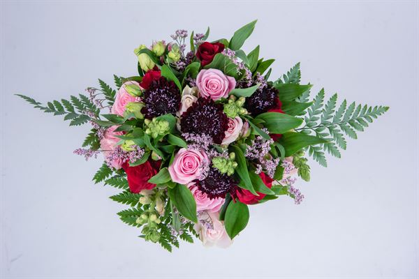 Visuals Photo and Video