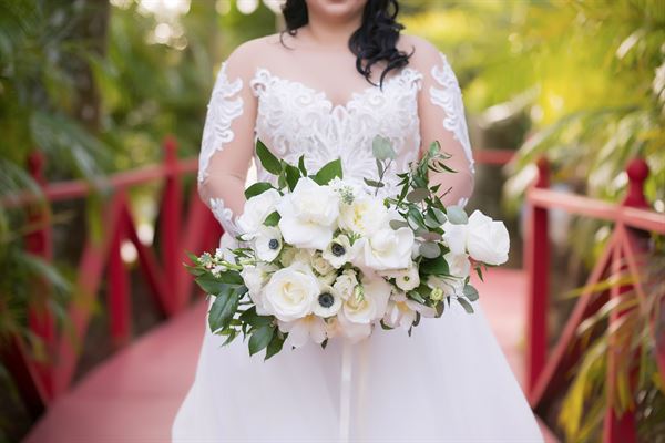 Visuals Photo and Video