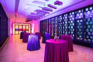 East Village Skybridge