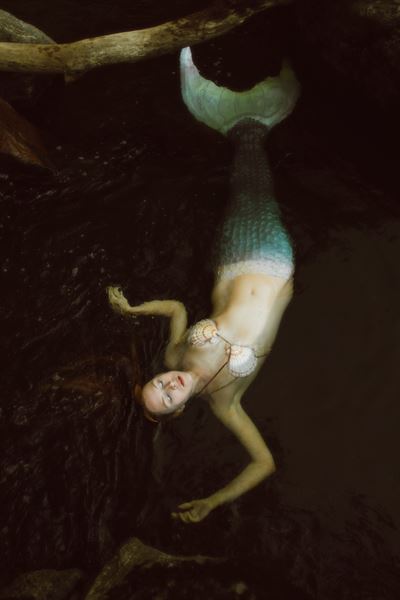 Lexi Bird Photography