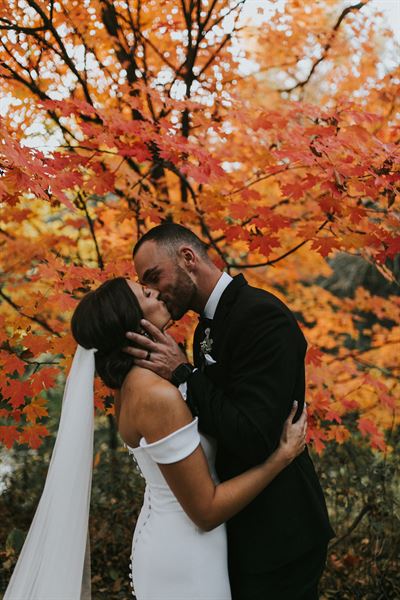 Weston Gardens In Bloom