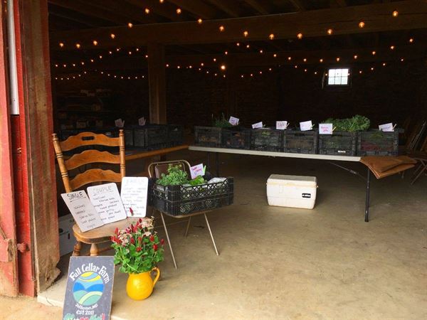 Fox Haven Farm, Retreat & Learning Center