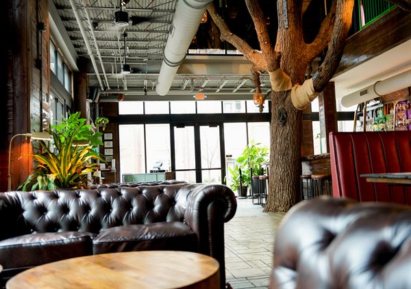 Charlotte Beer Garden