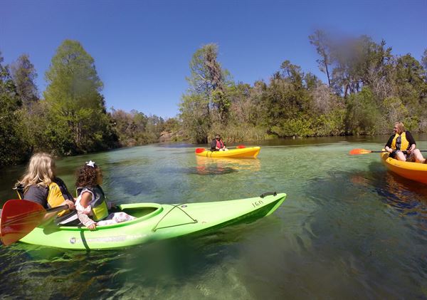 Weeki Wachee Fresh Water Adventures