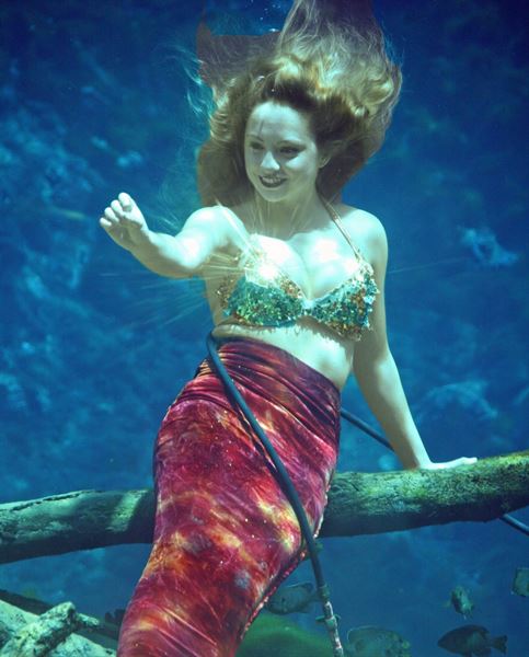 Weeki Wachee Fresh Water Adventures