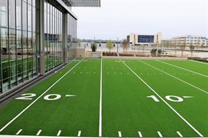 Outdoor Turf Field