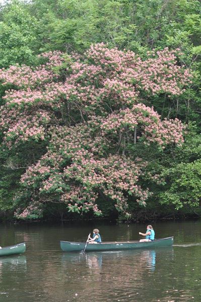 The Peaks Retreat and Adventure Center