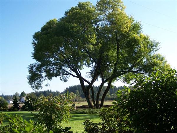 The Ranch On Beaver Creek