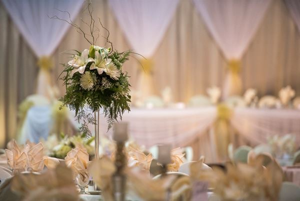 Mayo Clinic Health System Event Center