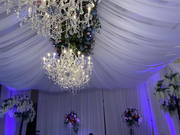 Luxx Event Studio & Design