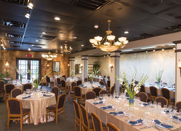 Mattison's Forty-One